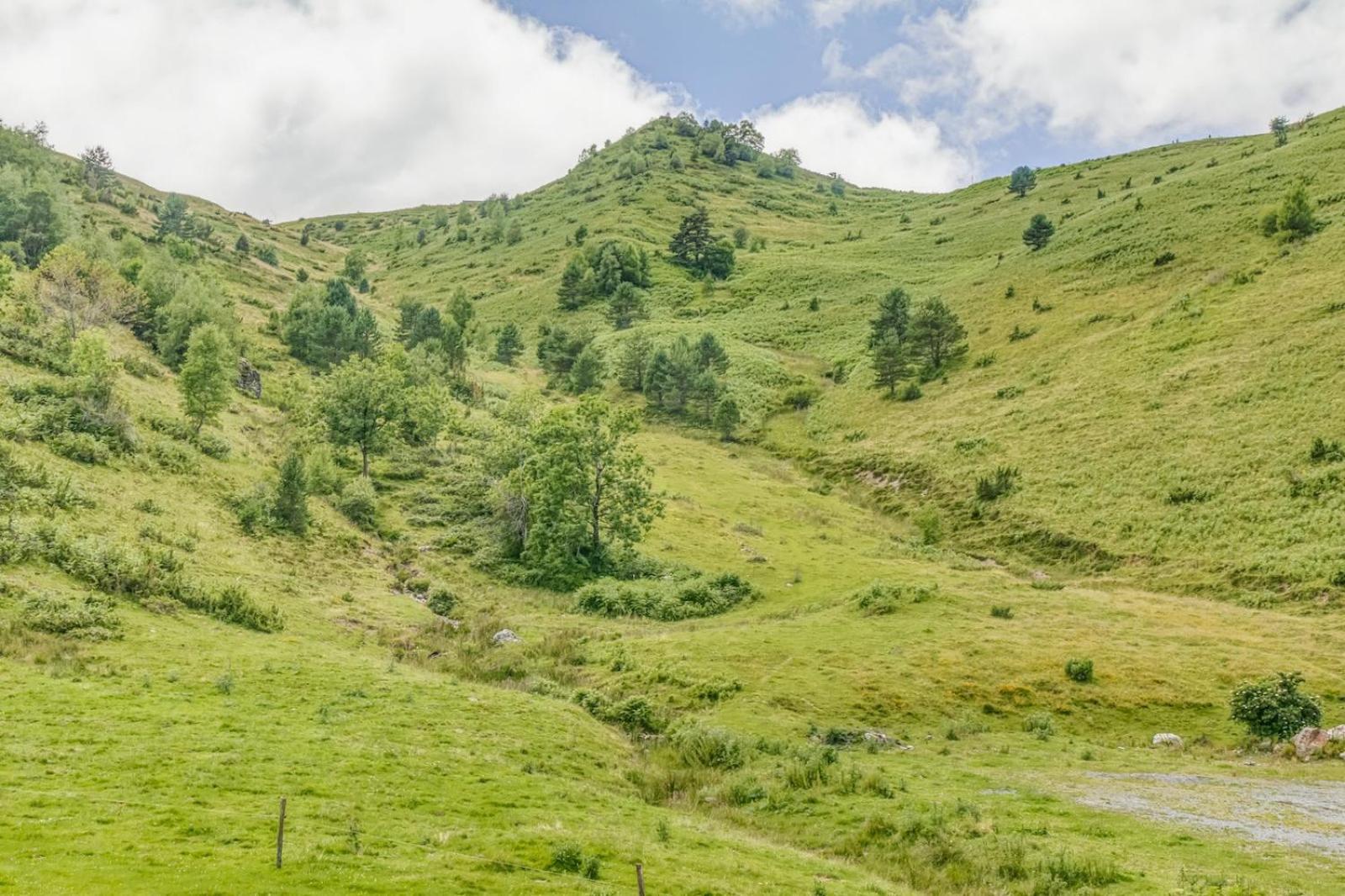 Appartement Alpin A 200M Des Pistes Génos エクステリア 写真